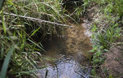 Com ajuda de pequenos produtores projeto quer recuperar a Bacia Hidrográfica do Pipiripau José Cruz Agência Brasil 400x255 - Como a água brotou de novo no Cerrado