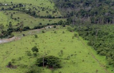 Adesão ao Cadastro Ambiental Rural pode ser feita até o fim de 2019 400x255 - Prêmio para os melhores trabalhos sobre conscientização ambiental