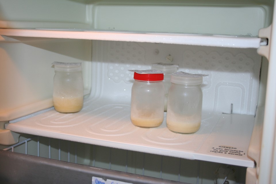 Banco de Leite Humano do Hospital Infantil de Vila Velha precisa de doadoras