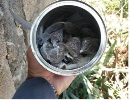 PM REALIZA APREENSÃO DE DROGAS E RECUPERA PRODUTO DE ROUBO NO SUL DO ES