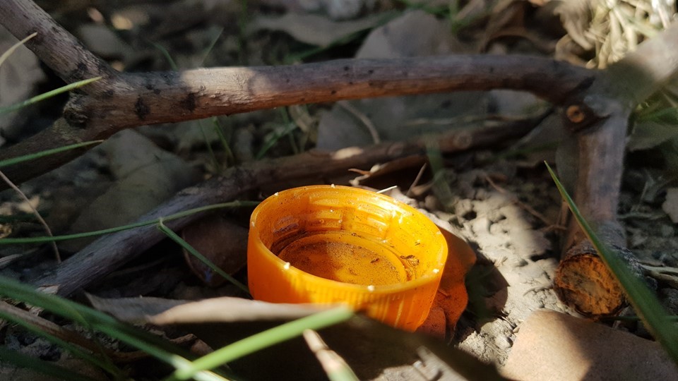 Chegada das chuvas preocupa para aumento de casos de dengue