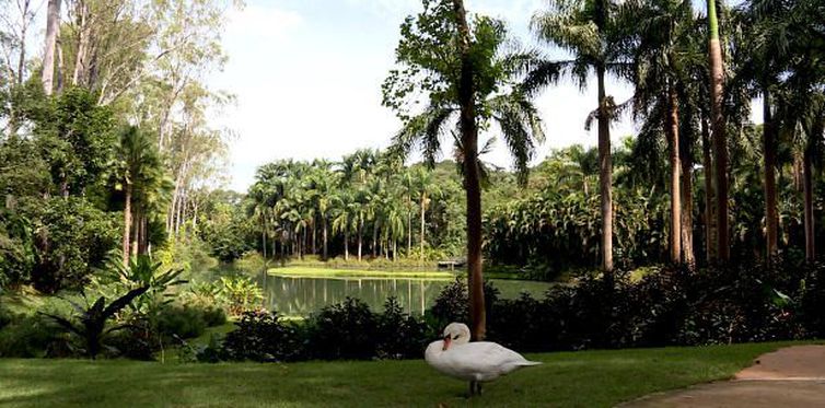 Inhotim vai ajudar na recuperação de Brumadinho