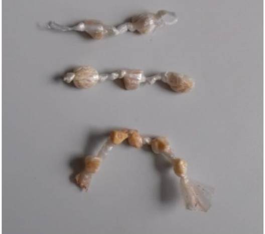 PM APREENDE DROGAS EM ALFREDO CHAVES