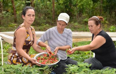 Mulheres do Incaper 400x255 - Mulheres do Incaper falam sobre o trabalho com as mulheres rurais capixabas