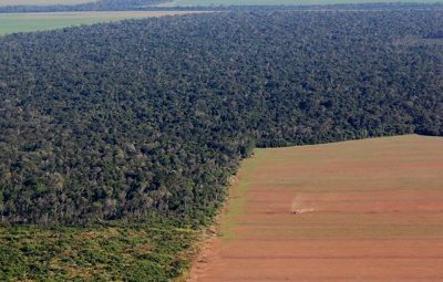 Área desmatada na Amazônia 400x255 - Brasil foi país que mais perdeu florestas tropicais nativas em 2018