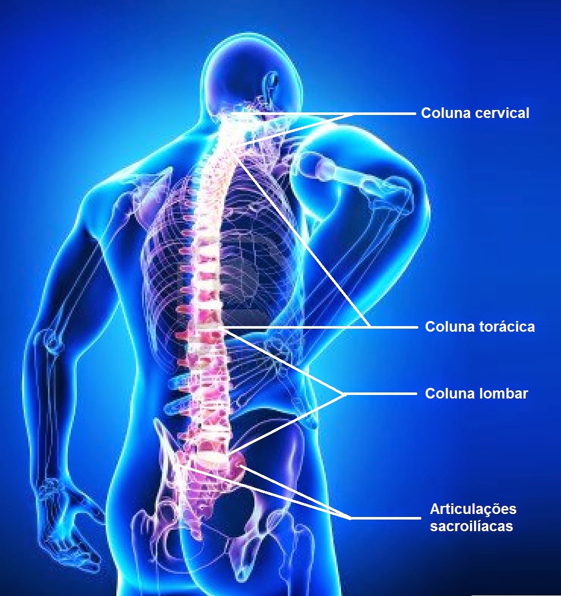 Dia Mundial da Espondilite Anquilosante chama atenção para doença reumatológica pouco conhecida