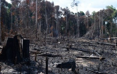desmatamento 1 400x255 - Desmatamento é principal preocupação do brasileiro, revela pesquisa