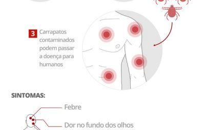 febre maculosa v2 400x255 - Prefeitura de Contagem confirma duas mortes por febre maculosa