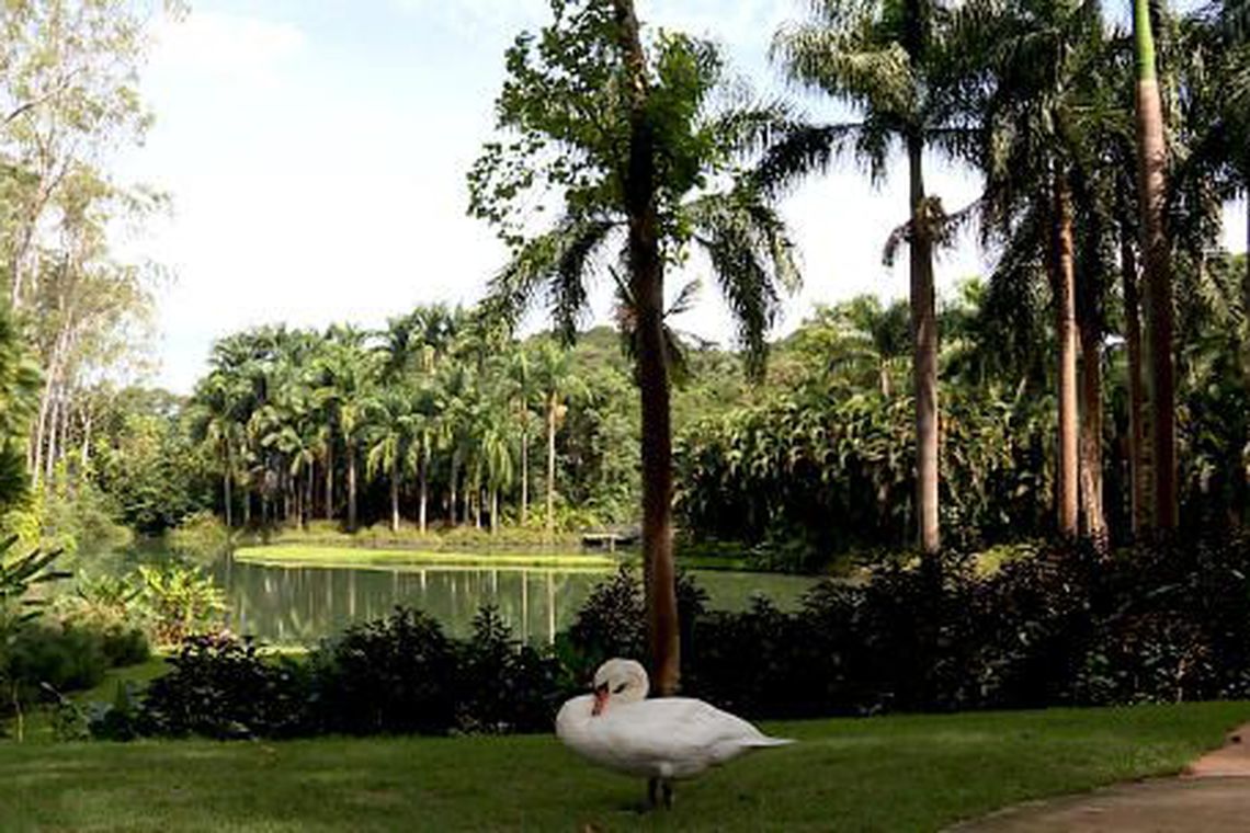 Seis meses após desastre, Brumadinho tenta recuperar turistas