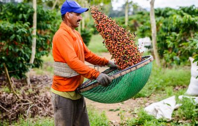 Foto Ailton Pimenta 400x255 - Plano Safra: Sicoob ES libera R$ 570 milhões para produtores rurais