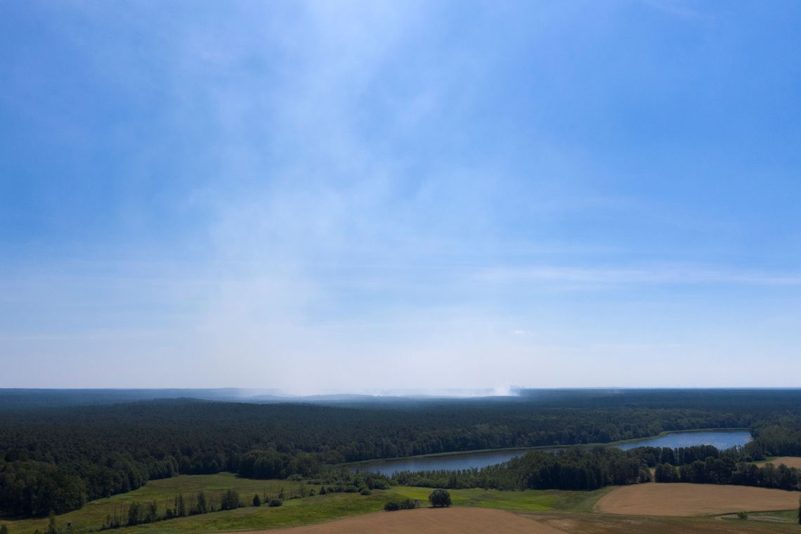 Incêndio florestal na Alemanha ameaça detonar munições da 2ª Guerra