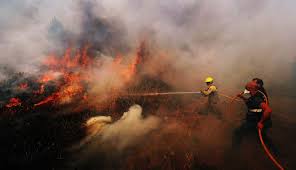 Incêndio florestal atinge Portugal e fere 32 pessoas