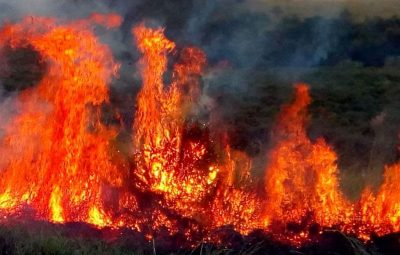 incendio 400x255 - Bombeiros combateram vários focos de incêndio nesta madrugada de sexta-feira(02),em Colatina