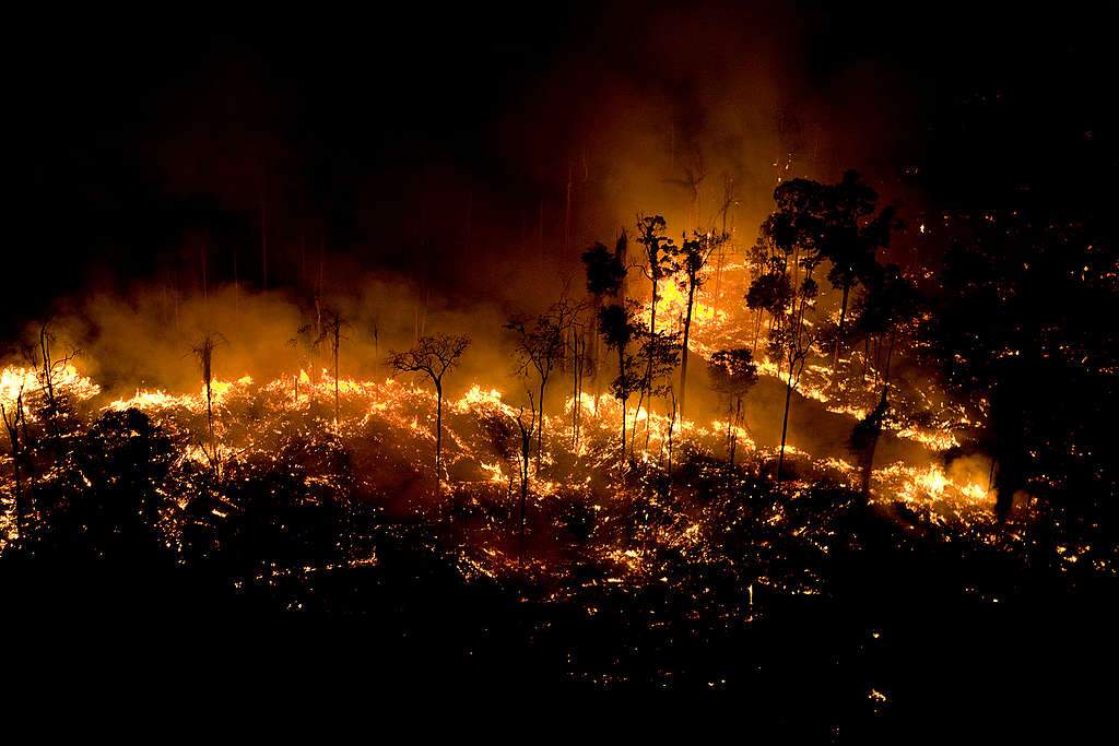 Número de queimadas cresceu em 82% este ano no Brasil, diz Inpe