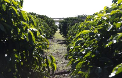 Empreendedores criam projeto de tratamento de água a preços populares 400x255 - Recorde de frio e estiagem no ES podem prejudicar produção agropecuária