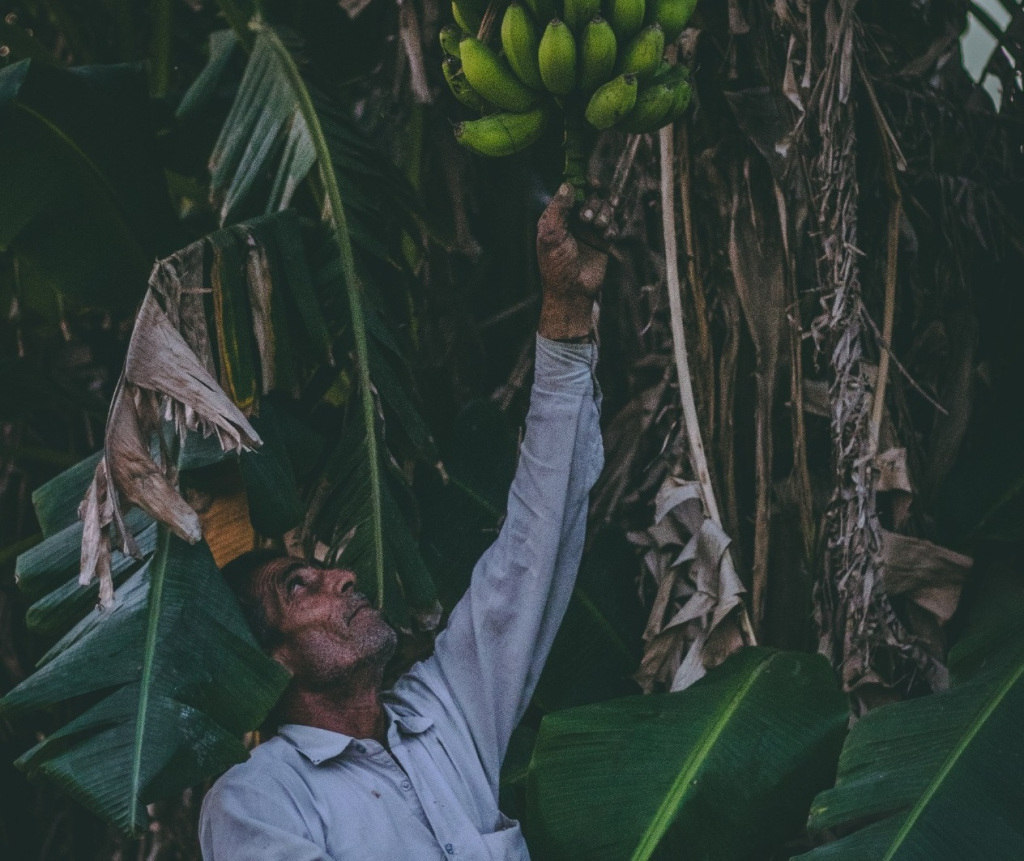 Cooperativa de agricultores de Iconha e região apresentam um novo caminho para a agricultura familiar
