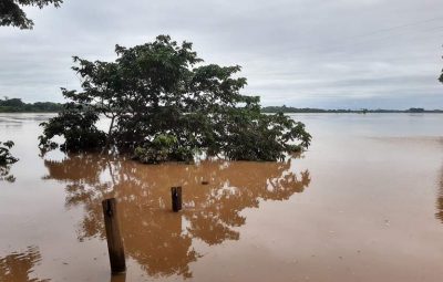 Nível do Rio Doce cai mas continua acima da cota de inundação 400x255 - Nível do Rio Doce cai, mas continua acima da cota de inundação