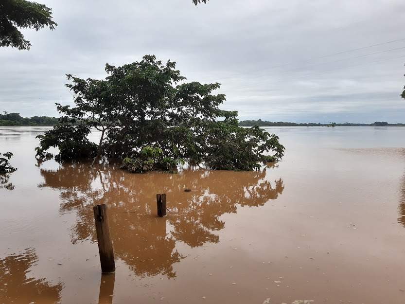 Nível do Rio Doce cai, mas continua acima da cota de inundação