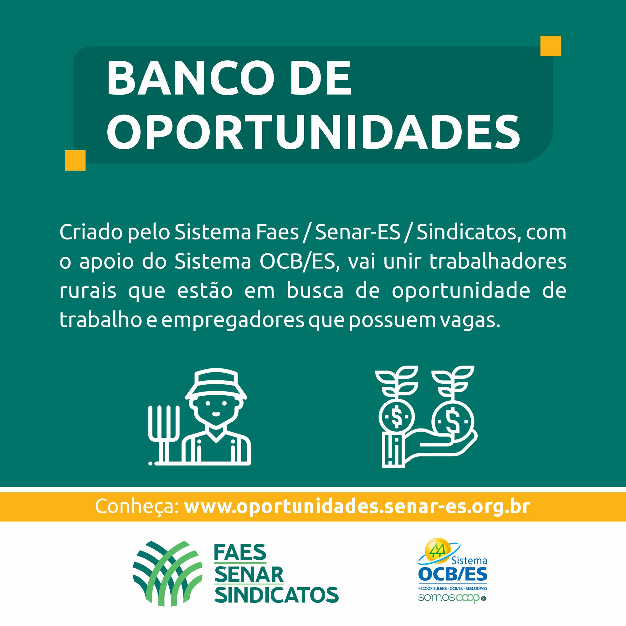 Site promove oportunidades de trabalho nas propriedades rurais do Espírito Santo