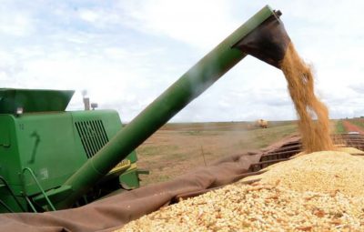 agropecuaria 400x255 - Ipea: setor agropecuário pode crescer até 2,5% apesar da covid-19