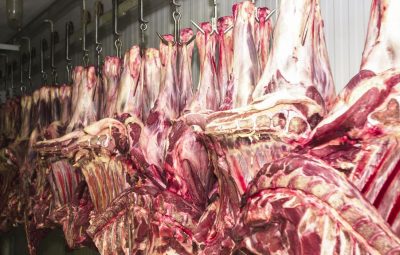 carne 1 400x255 - IBGE: 2024 registra recorde no abate de bovinos, frangos e suínos