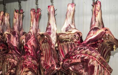 carne 400x255 - Governo cria protocolos para frigoríficos atuarem durante a pandemia