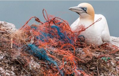 plastico 400x255 - Poluição de plásticos em oceanos pode triplicar até 2040, alerta estudo
