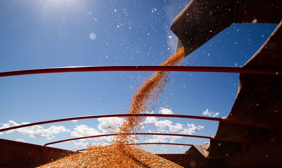 CNA prevê aumento da produção do agronegócio no próximo ano