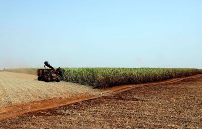 plantacao de soja soja agricultura1103209901 400x255 - PIB cresce 7,7% do segundo para o terceiro trimestre, diz IBGE