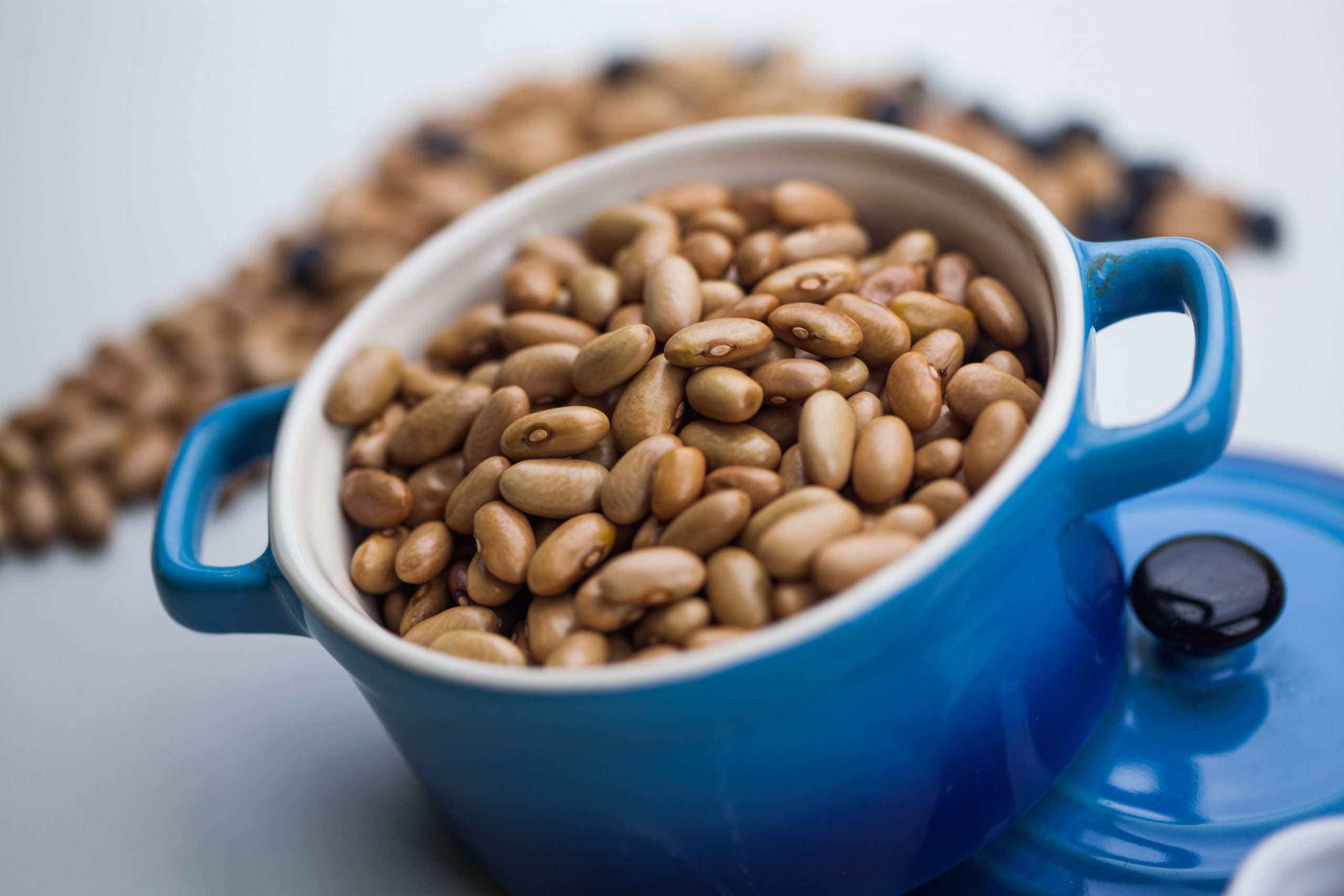 Feijão: pragas e doenças podem causar explosão no preço e falta na mesa do brasileiro