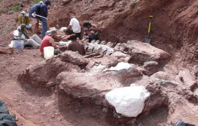 titanossauro 400x255 - Titanossauro descoberto na Argentina é exemplar mais antigo da espécie