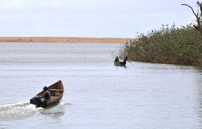 mariana 400x255 - Mariana: pesquisadores encontram metais tóxicos em peixes do Rio Doce