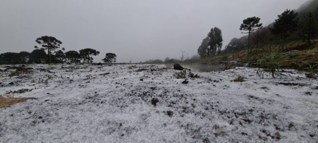 Santa Catarina registra primeira neve de 2021