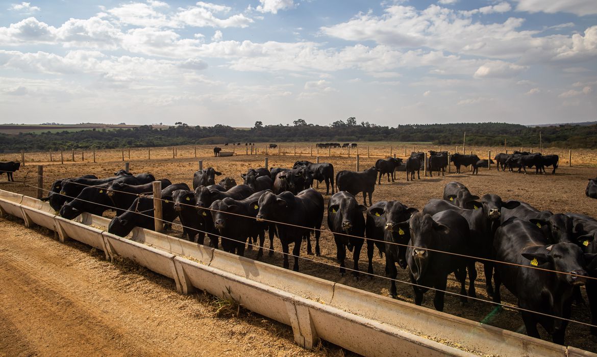 Comércio cresce 1,8% de março para abril, diz IBGE