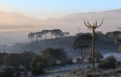 urupema frio 07 400x255 - Massa de ar polar provoca frio intenso durante a semana no país