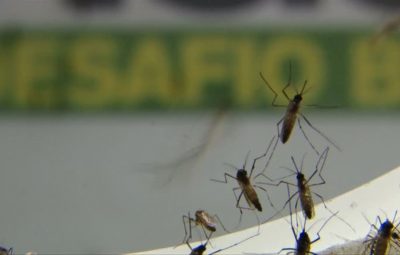 2015 12 01t010142z 1 lva0013c0s8xv rtrwnev e 2063 brazil health virus 400x255 - Casos de dengue em São Paulo este ano são o triplo do total de 2020