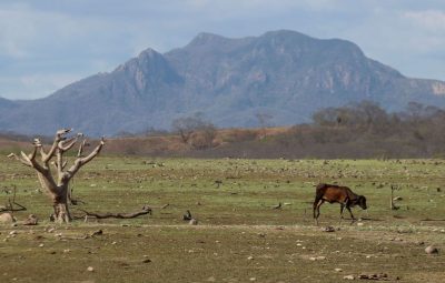 Mexico sofre com falta dagua producao agricola e ameacada 400x255 - México sofre com falta d'água; produção agrícola é ameaçada