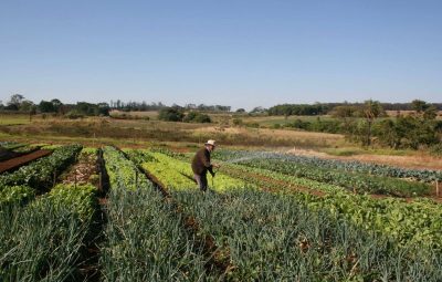 agricultura 400x255 - Lei que altera funcionamento da Célula de Produto Rural é sancionada