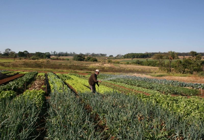 Lei que altera funcionamento da Célula de Produto Rural é sancionada
