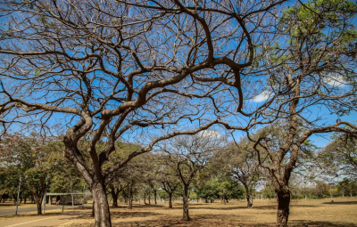 natureza 400x255 - Inmet alerta sobre baixa umidade no Centro-Oeste e no Tocantins