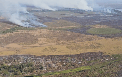 amazonia 400x255 - Amazônia: alerta de desmatamento cresce e mobiliza governo