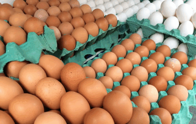 ovo 400x255 - Ovos/Cepea: Preços encerram 1ª quinzena em queda; setor se atenta a tarifas
