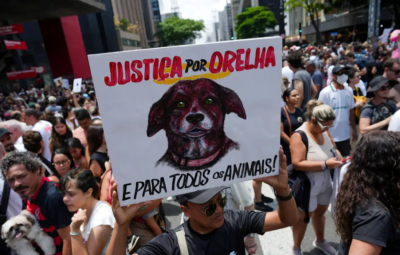 orelha 400x255 - Caso Orelha: polícia pede internação de adolescente envolvido no crime